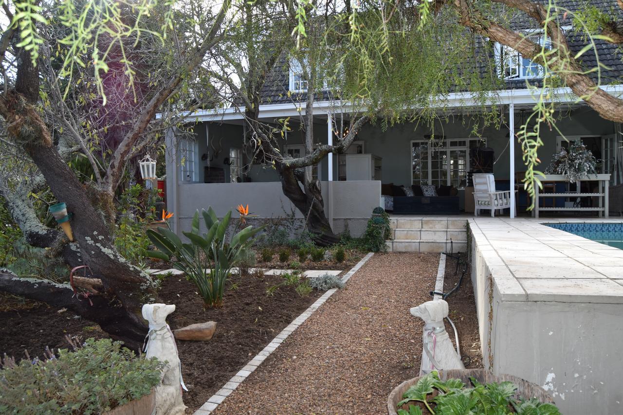 Almond Cottage Bed & Breakfast Somerset West Exterior photo