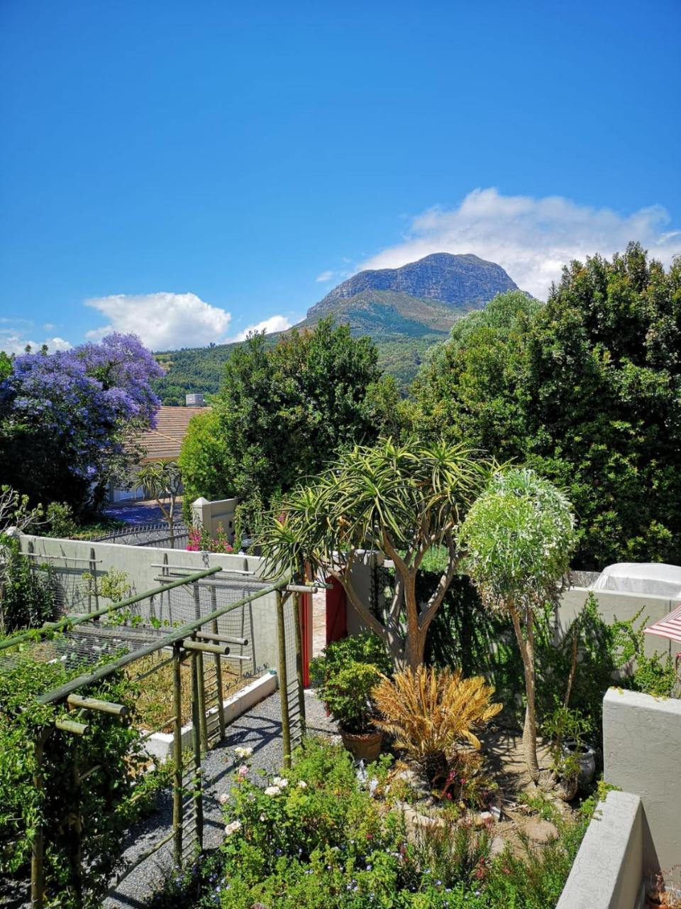 Almond Cottage Bed & Breakfast Somerset West Exterior photo